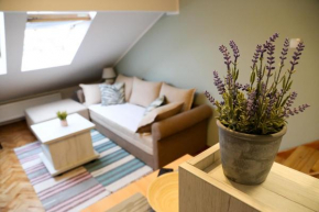 Hann Apartments, Novi Sad